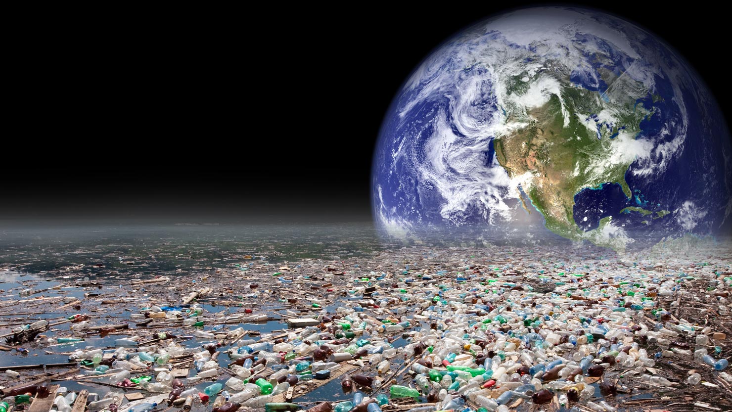 The Harmful Effects of Plastic on Our Health and Our Environment