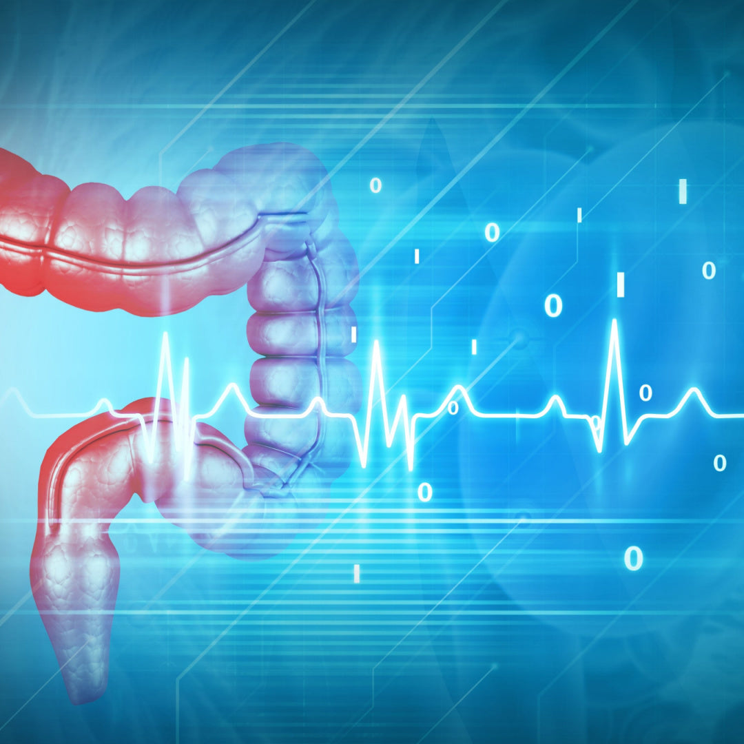 A healthy liver and colon; why it matters