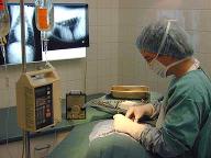 dr-wilkie-cathy-profile