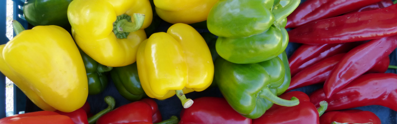 Food Sensitivities and Inflammation