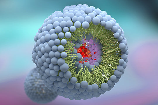 illustration of liposomes