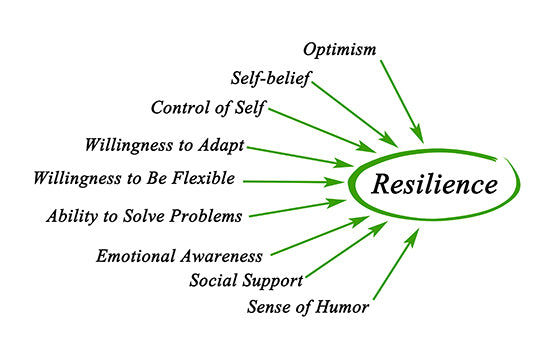 Resilience; an Integrative Perspective