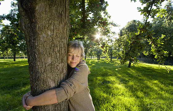 pretty woman hugs a tree