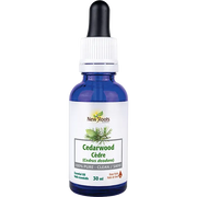 New Roots Cedarwood Essential Oil