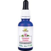 New Roots Geranium Essential Oil