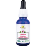 New Roots Geranium Essential Oil