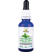 New Roots Wild Field Mint Pure Essential Oil