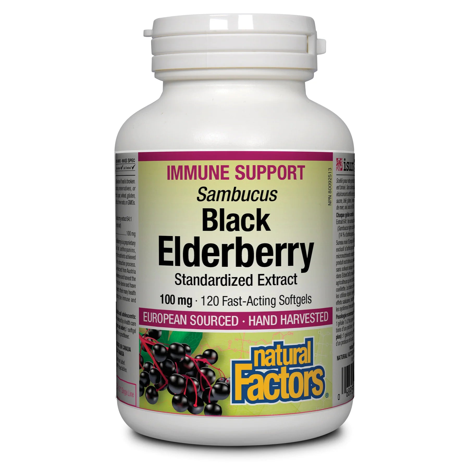 Natural Factors Black Elderberry Standardized Extract 100 Mg