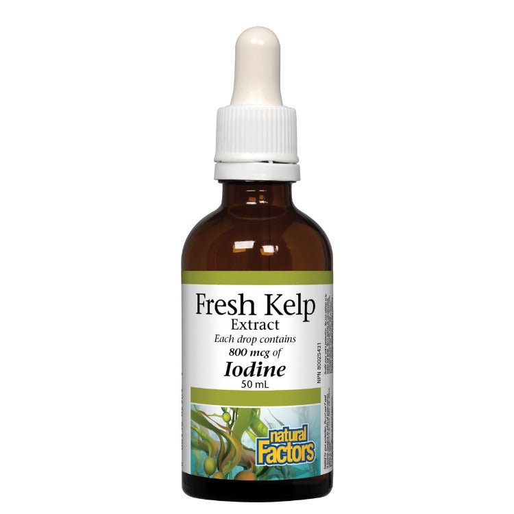 Natural Factors Fresh Kelp Extract 50ml