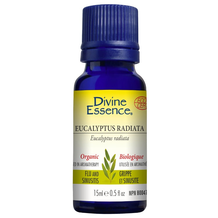 Divine Essence Eucalyptus Radiata 15ml