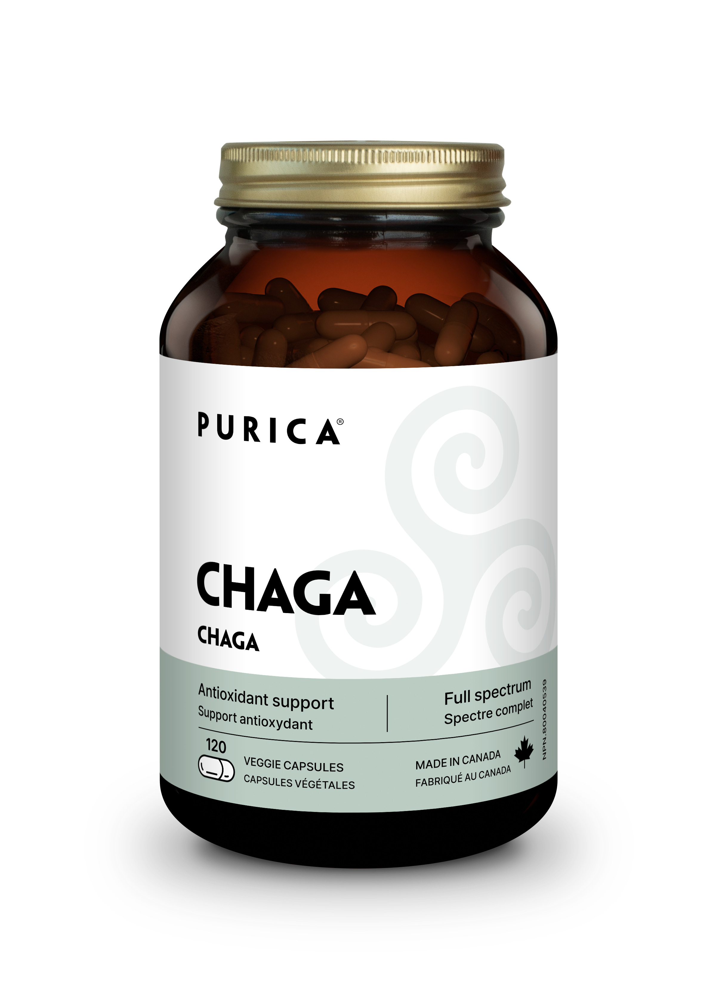 Purica Chaga