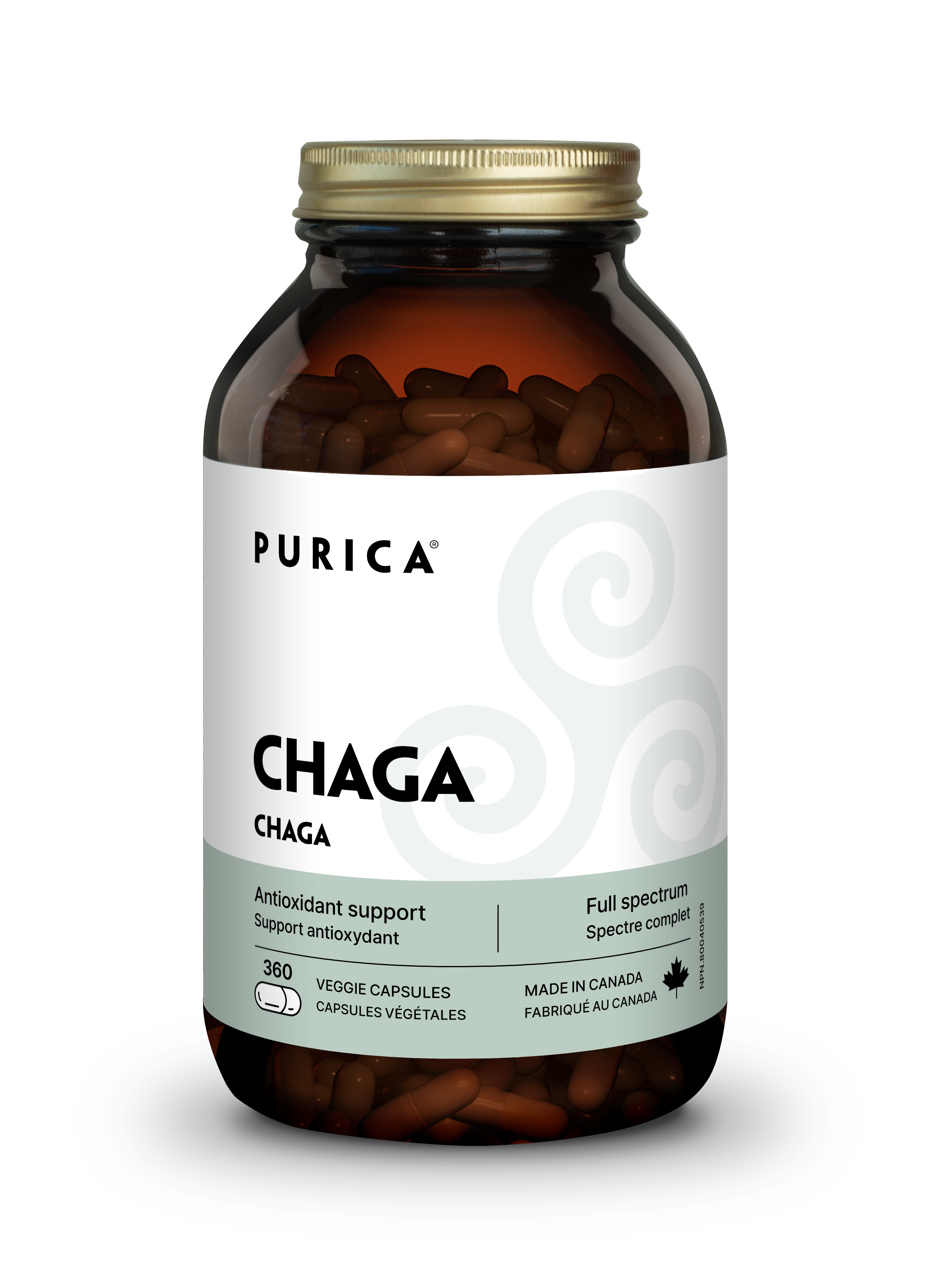 Purica Chaga
