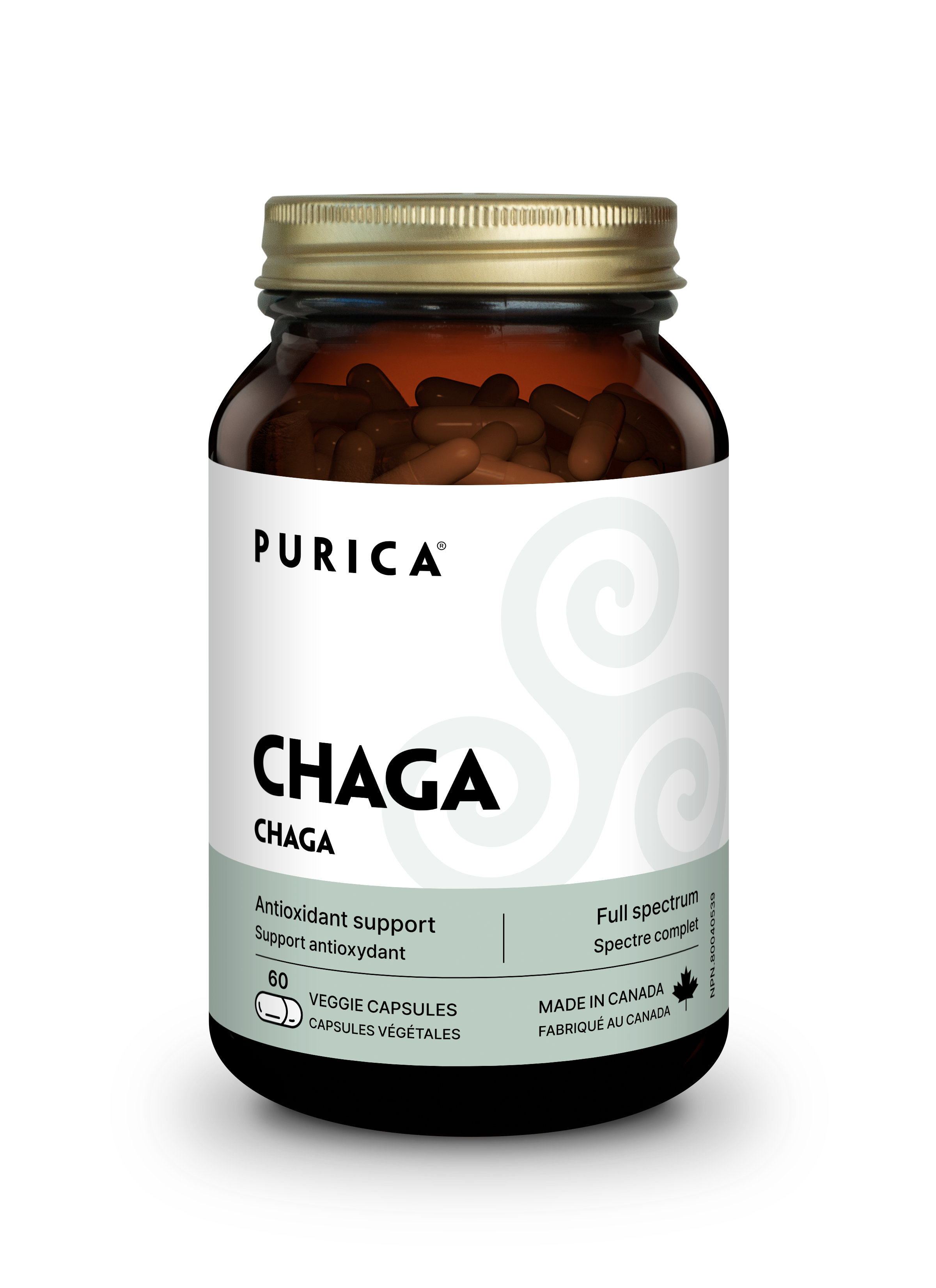 Purica Chaga