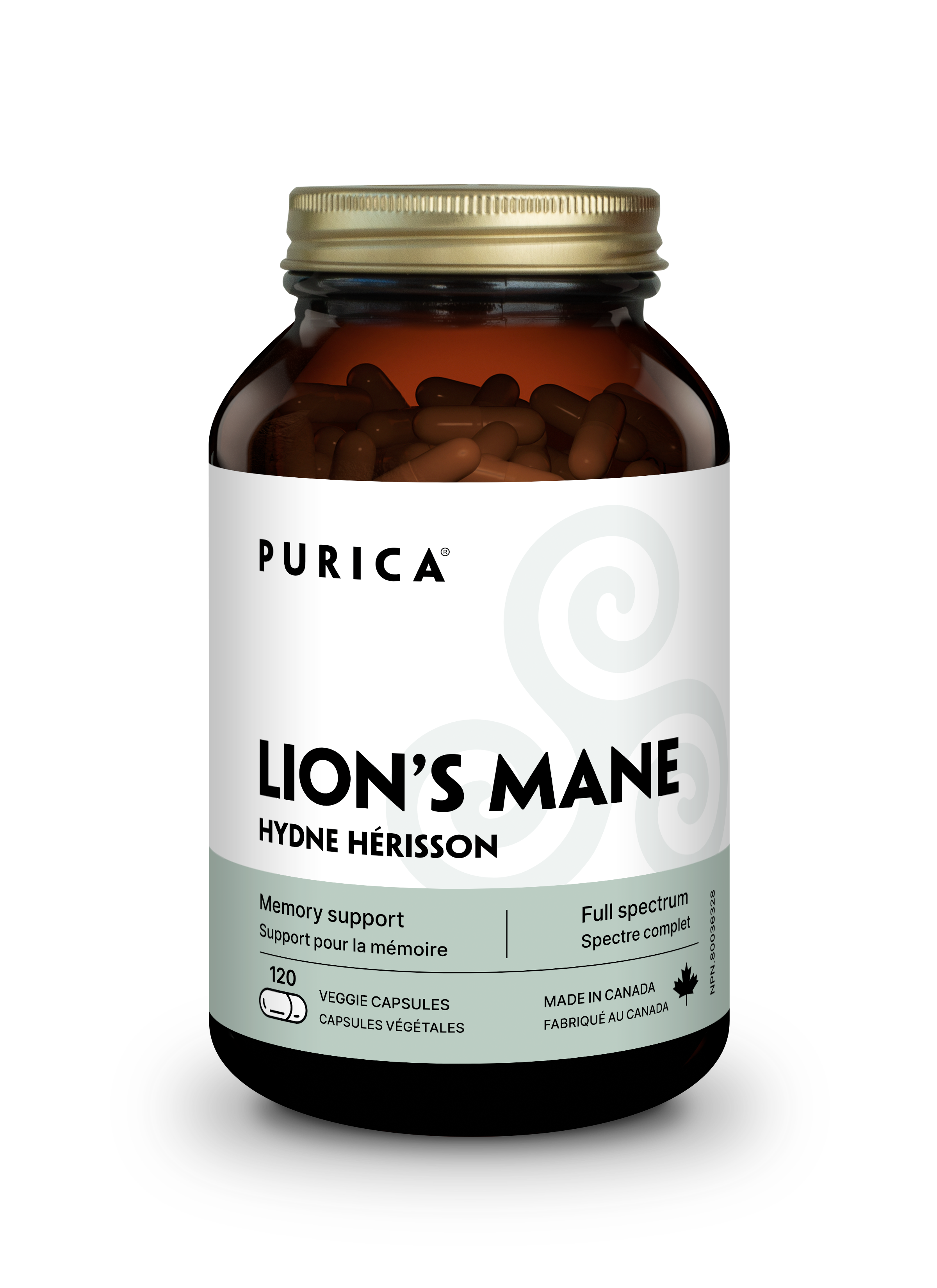 Purica Lion's Mane