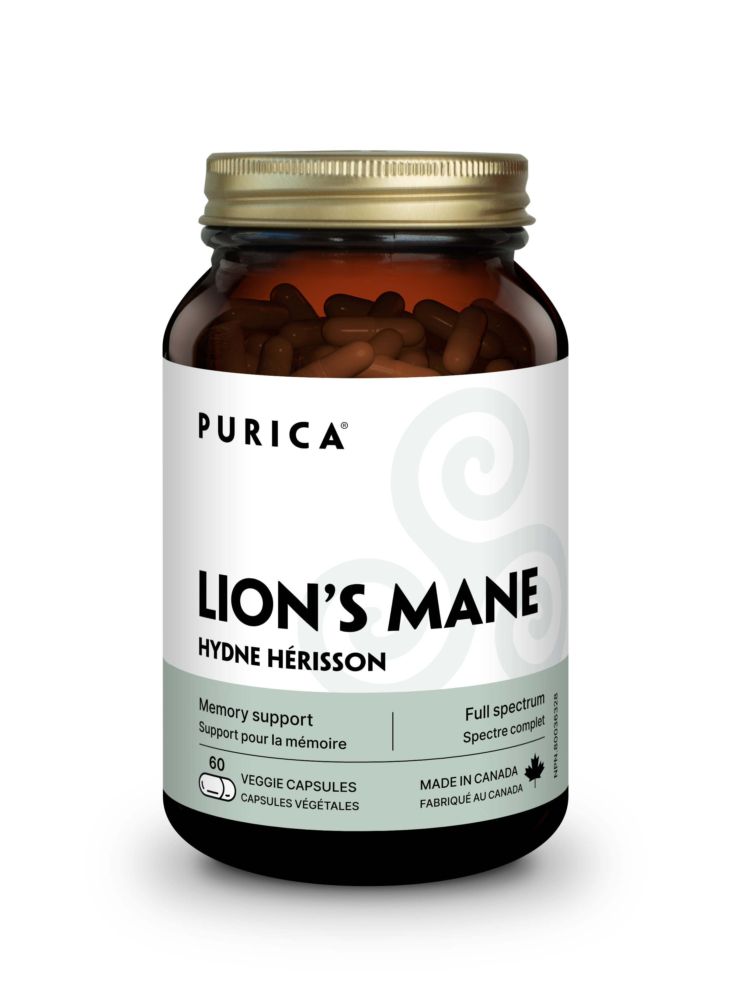 Purica Lion's Mane