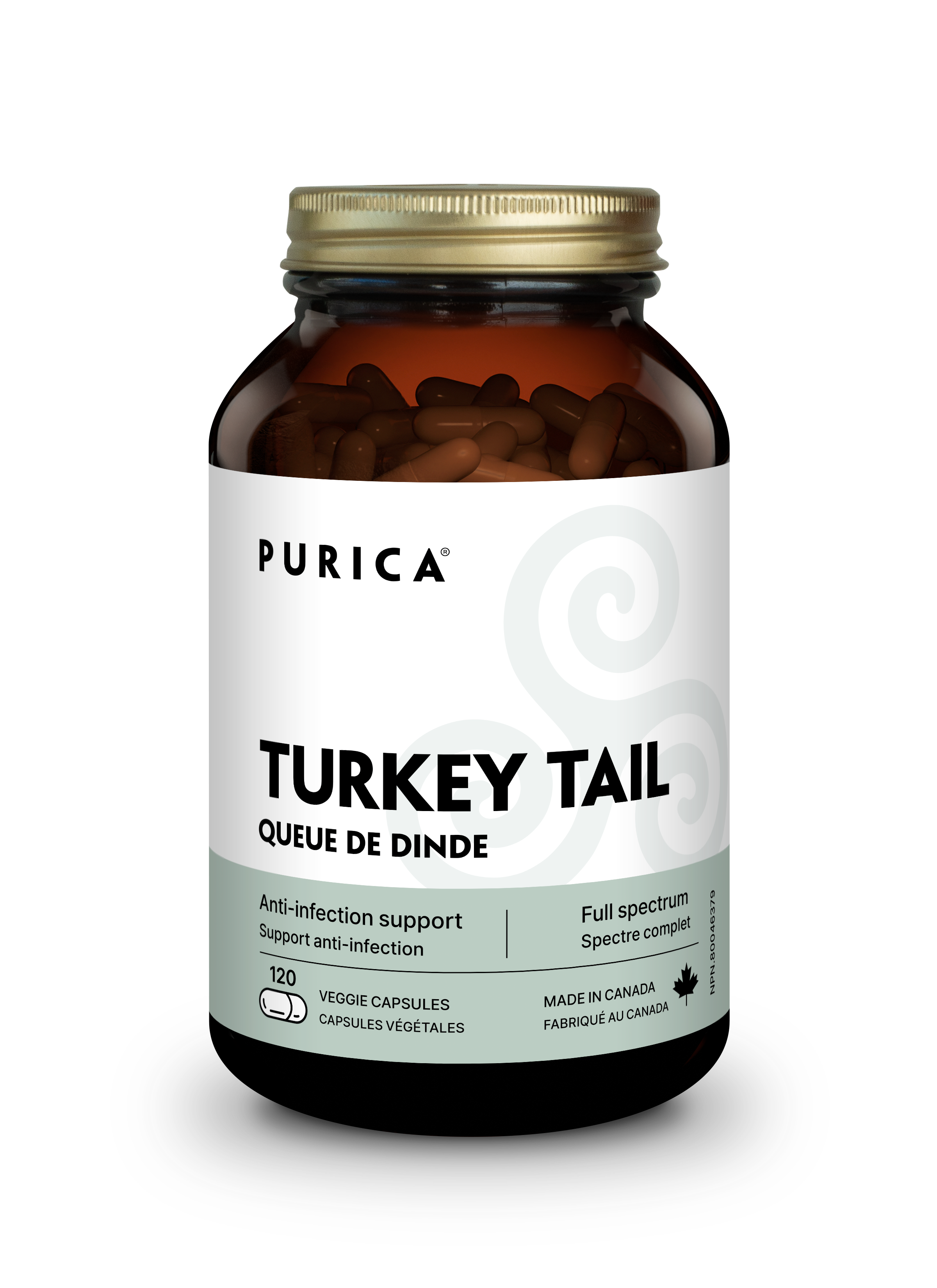 Purica Turkey Tail (Coriolus)