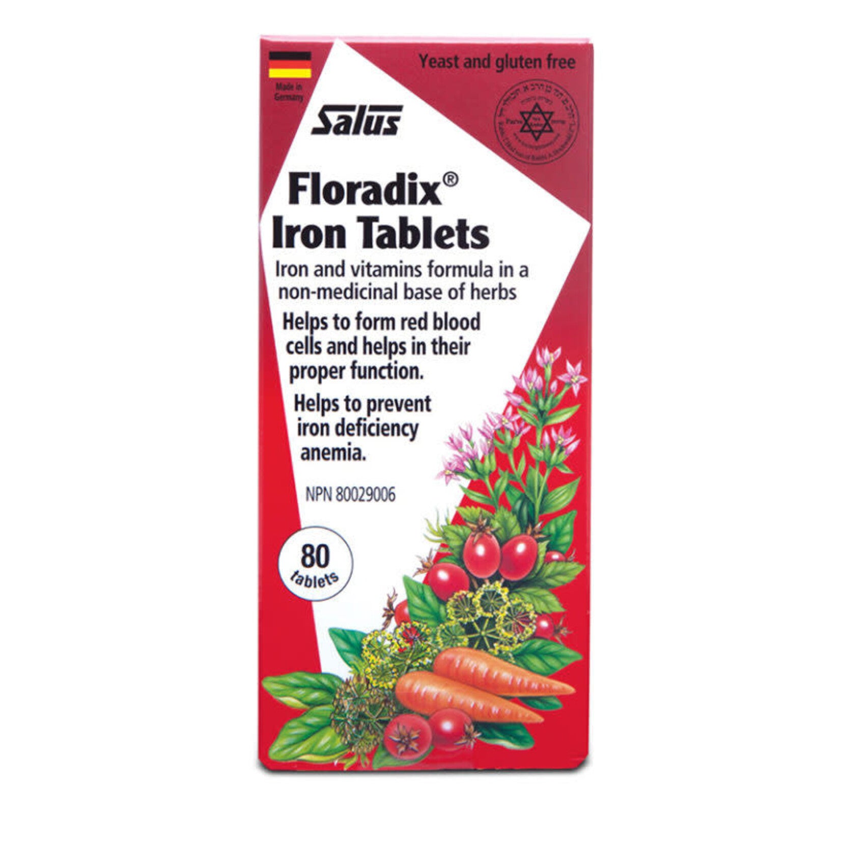 Salus Floradix Iron 80tabs