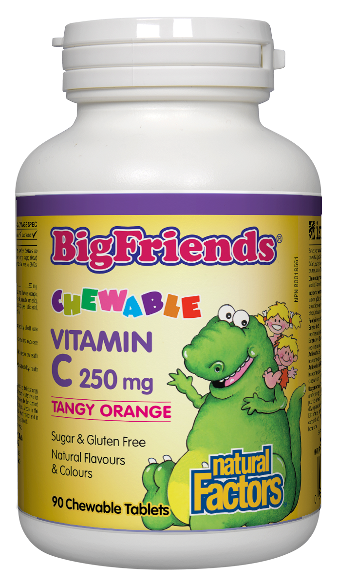 Natural Factors Big Friends Vitamin C 250mg Orange 90chew
