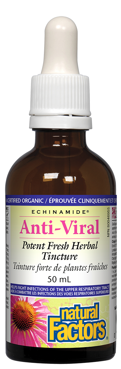 Natural Factors Echinamide Anti-viral Herbal 50ml