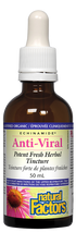 Natural Factors Echinamide Anti-viral Herbal 50ml