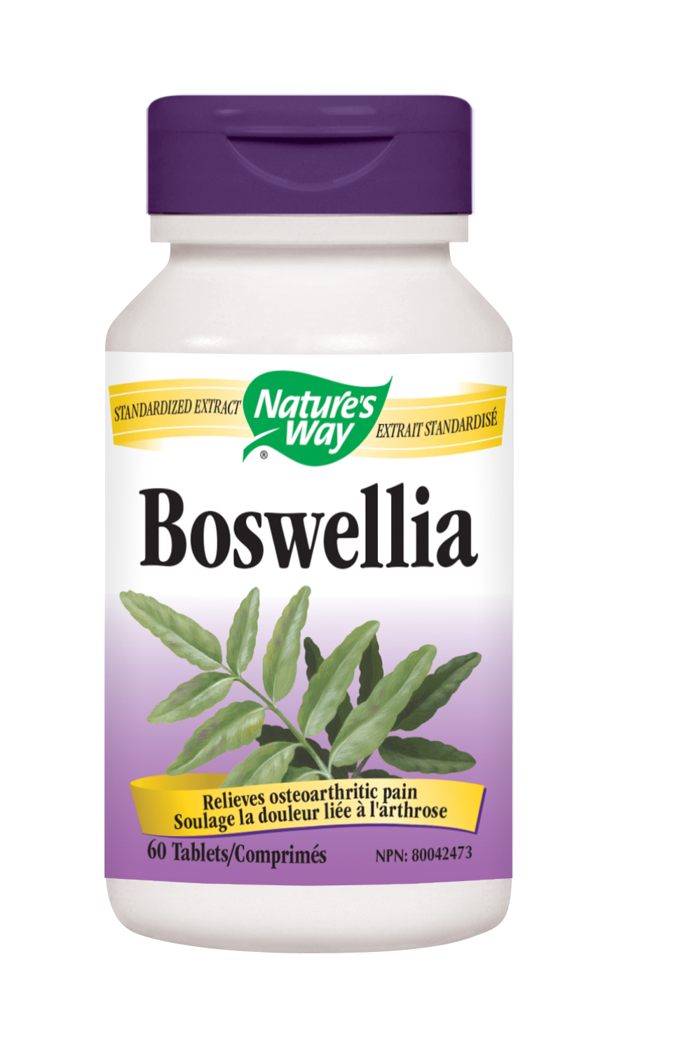 Nature's Way Boswellia 60 Tabs