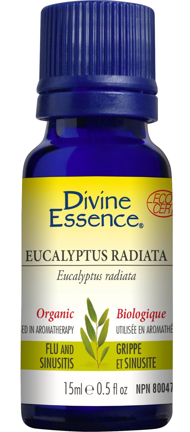 Divine Essence Eucalyptus Radiata 15ml